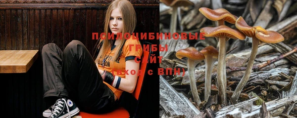 стафф Нягань
