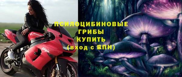 стафф Нягань
