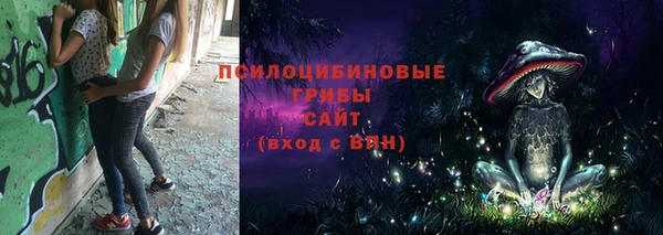 гидра Нязепетровск