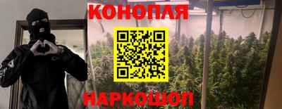 spice Жуковский