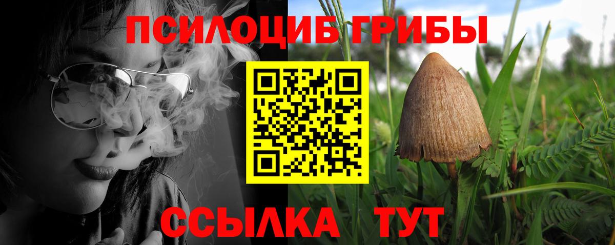 Галлюциногенные грибы Psilocybine cubensis  Вход с VPN  Псилоцибиновые грибы Psilocybine cubensis  Карпинск 
